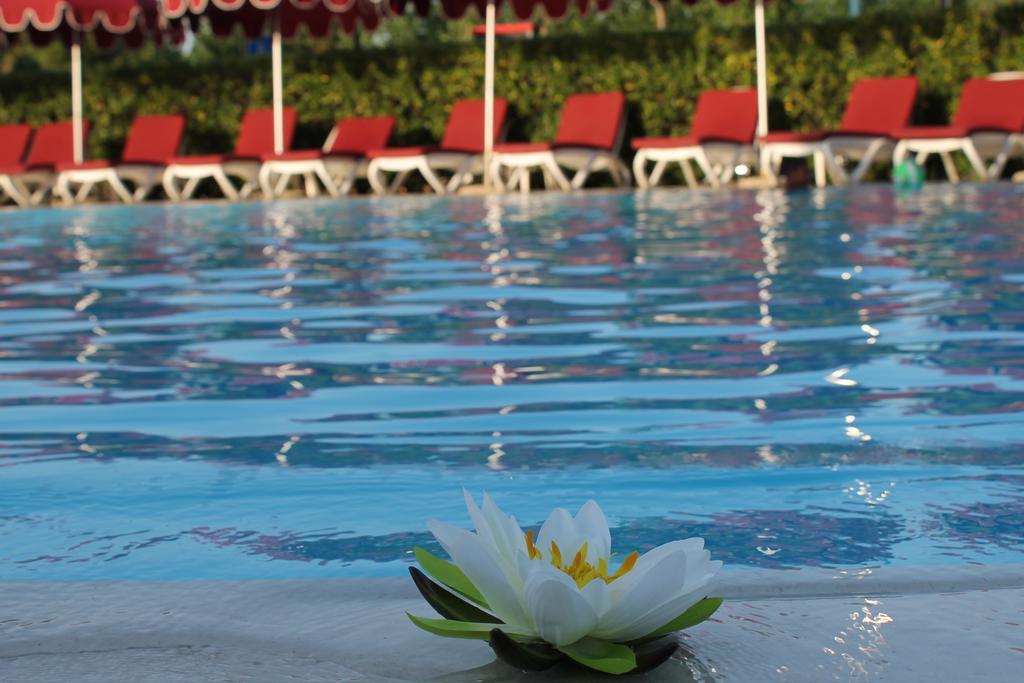 Hotel Le Tegnue Сотомарина Екстериор снимка